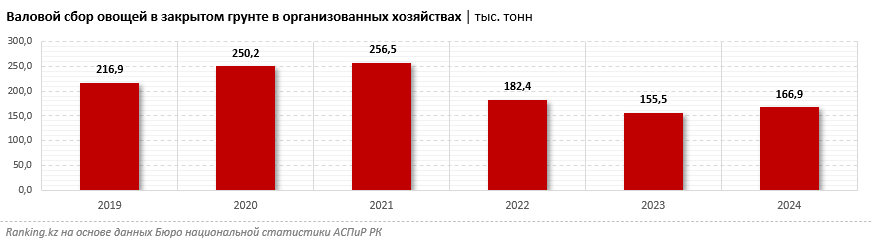 Казахстанские фермеры увеличили сбор тепличных овощей