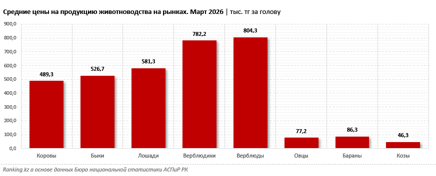 Сколько стоят овцы, КРС и лошади в Казахстане перед Курбан айтом?